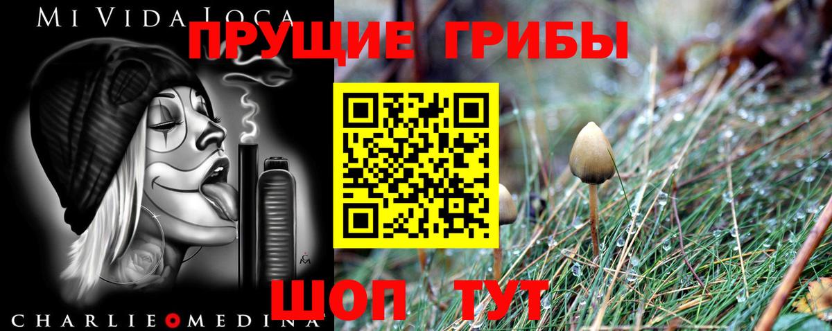 Псилоцибиновые грибы ЛСД  Вход с VPN  Сыктывкар 