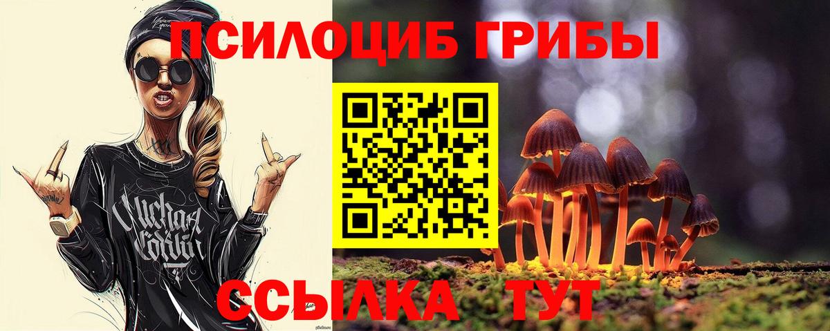 Псилоцибиновые грибы мицелий Сыктывкар